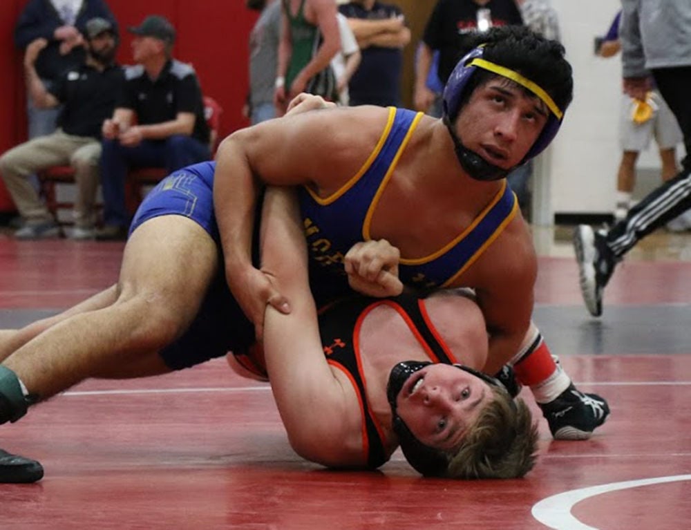 Saturday's district wrestling results