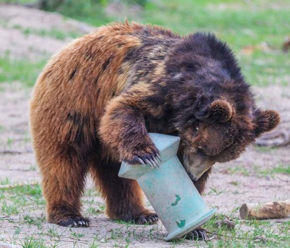 Life at the zoo