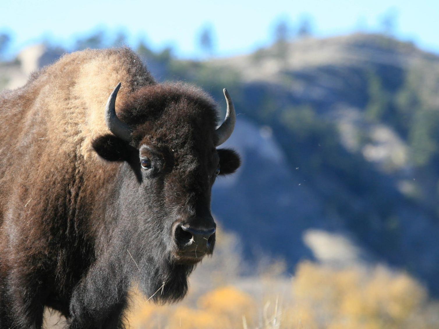 Photos Nebraska State Parks Starherald Com