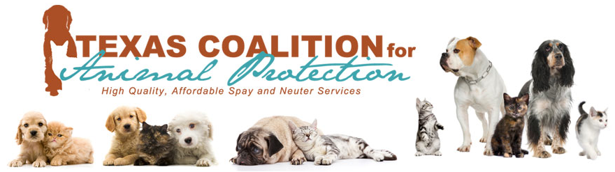 Texas Coalition for Animal Protection to open clinic in Allen | News ...