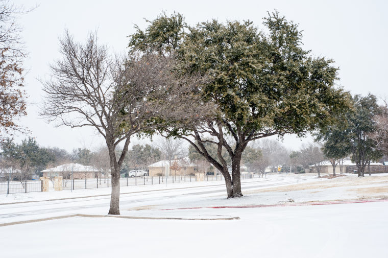 Snow Day Plano Star Courier