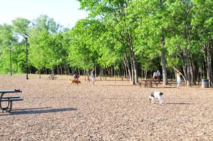 Dog days:City continues enhancement at Bonnie Wenk Park | News