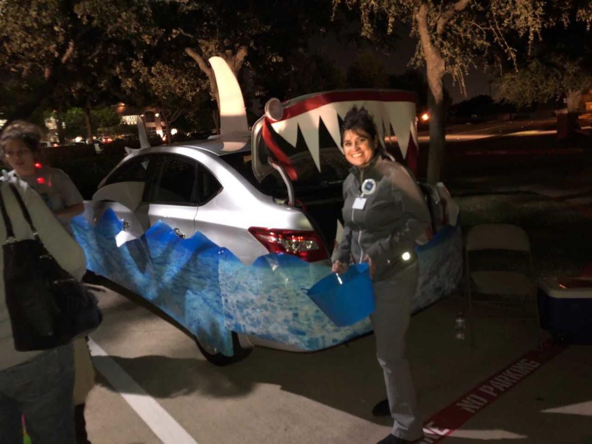 Flower Mound Allergy And Asthma Best Flower Site