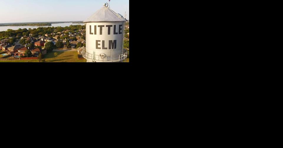 Lakeside News Roundup: Little Elm Library celebrates Black History Month and more updates - Vimarsana News