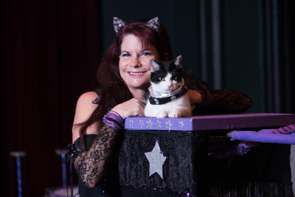 Chief Executive Human The Woman Behind Acro Cats News