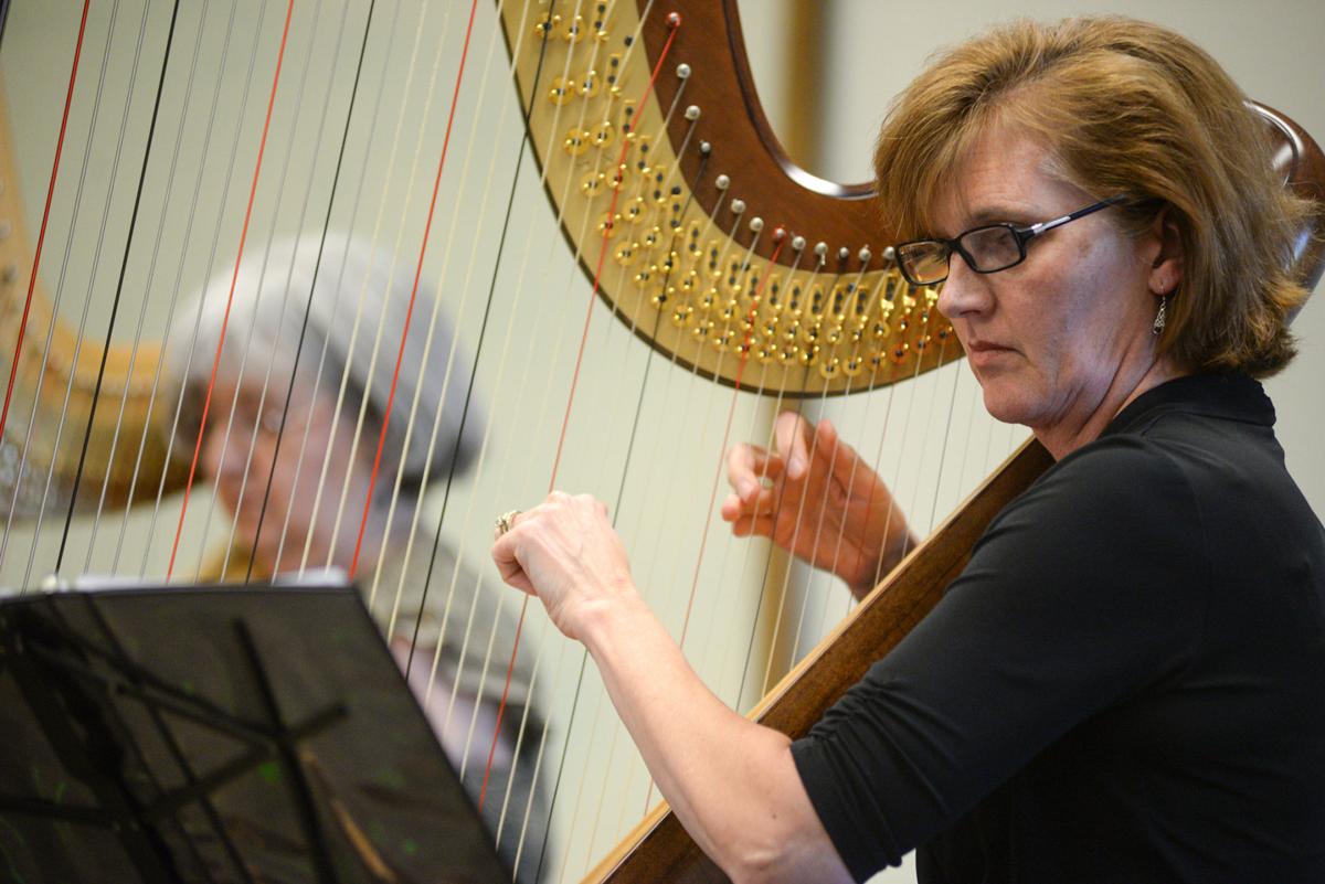 160316_CelticHarps019_BM.jpg