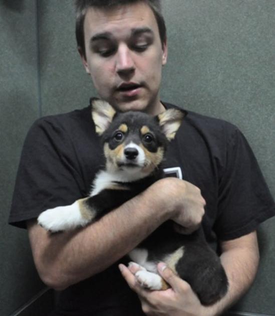 Puppy Love Frisco Enterprise Starlocalmedia Com