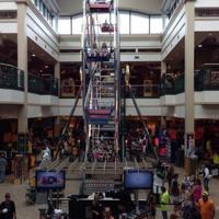 Baseball & Softball Shop at The Colony SCHEELS