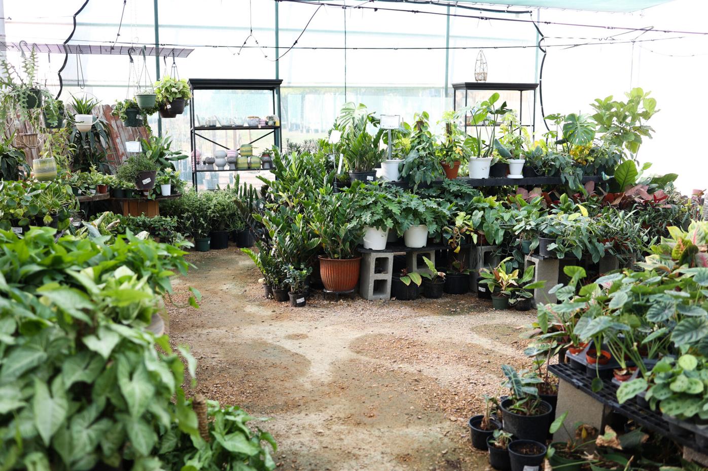 Why Shades Of Green Brought Its Nursery