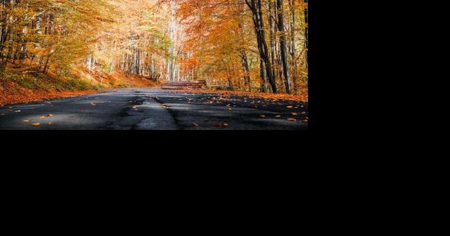 Get your fill of fall colors at these top spots around in North Texas - Vimarsana News