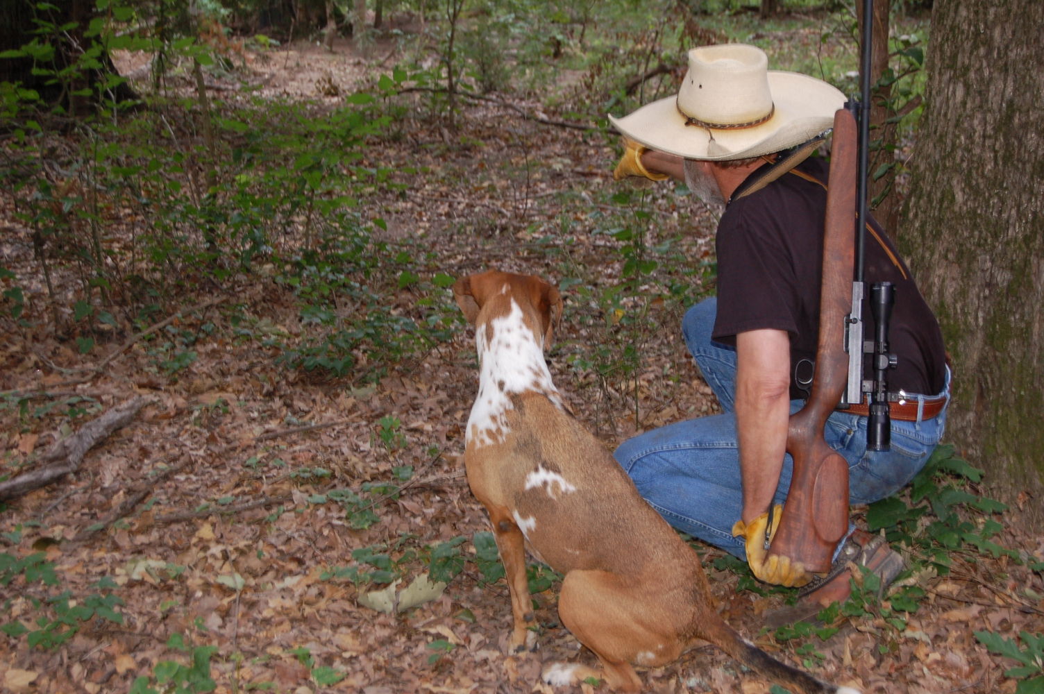 catahoula hog hunting