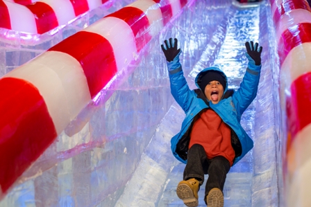 ICE! exhibit at the Gaylord Texan is a no-go for 2020 holiday season