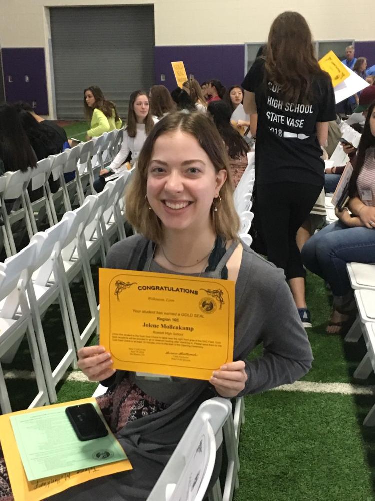 Rowlett High School boasts two VASE Gold Seal winners News