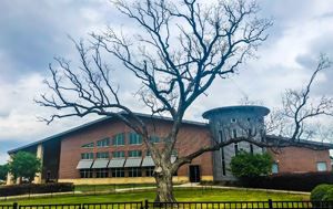 Iconic Tree At Flower Mound S Cac To Be