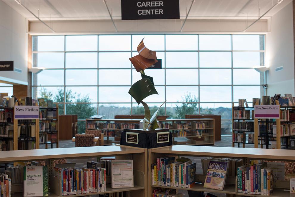 Lewisville Public Library sets activities News