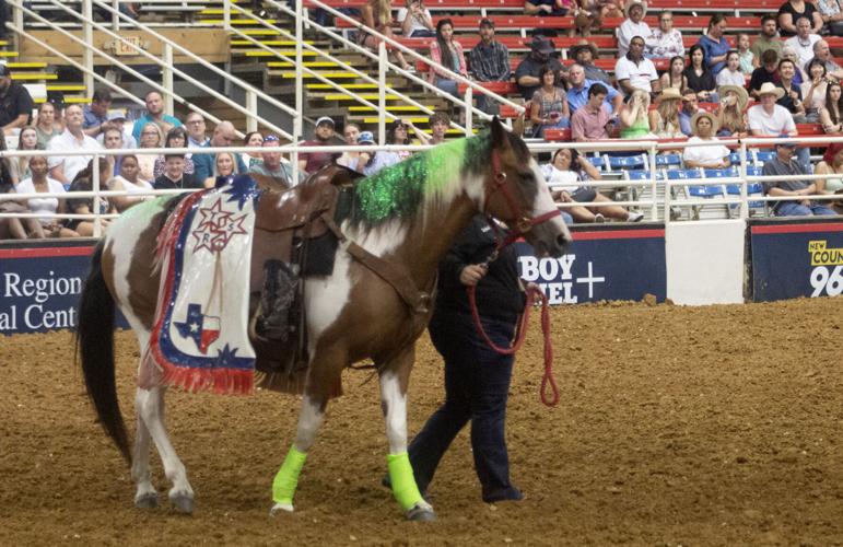 Meet the 'Mesquite Team' that's bringing equestrian drill team into an