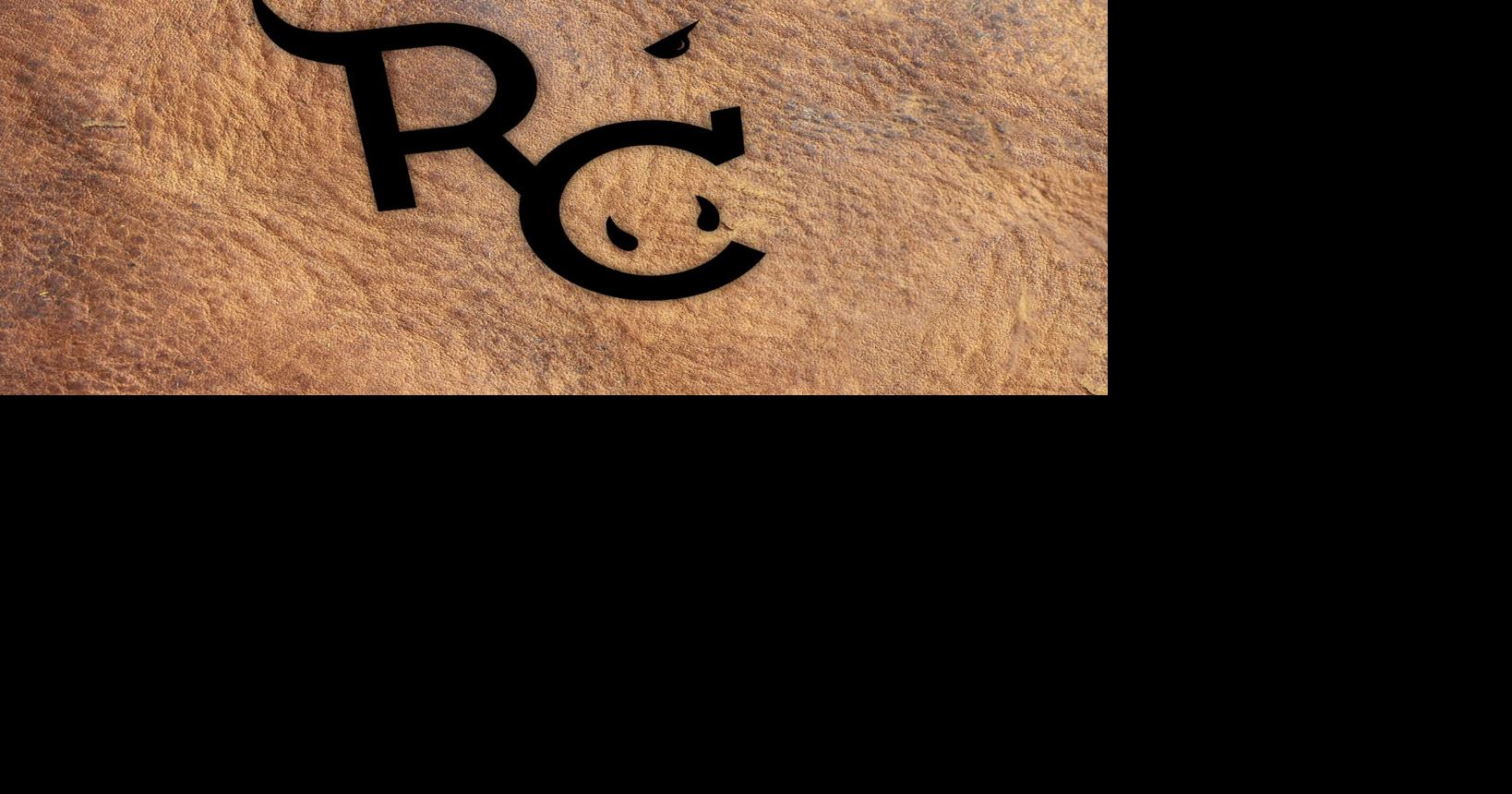 planos de arena de rodeo