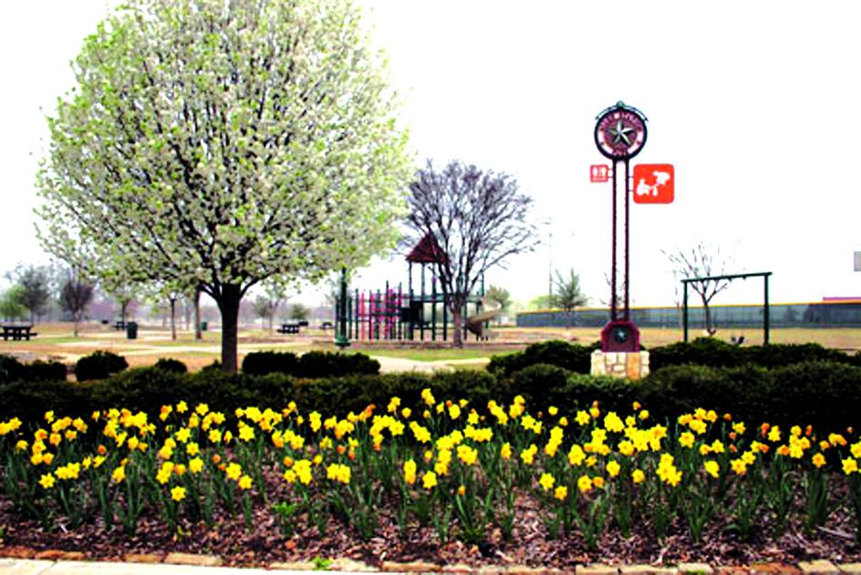 Allen Parks and Recreation finalist for national award News