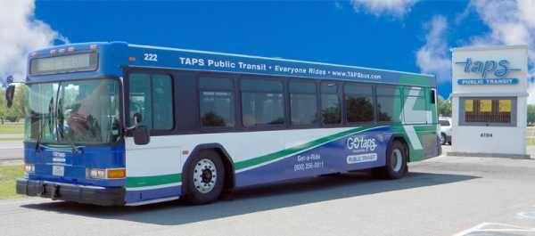 TAPS services canceled for remainder of Friday | News | starlocalmedia.com