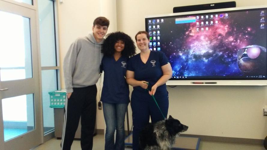 Barks ‘n Bubbles News