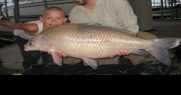 Child may have world record catch, News
