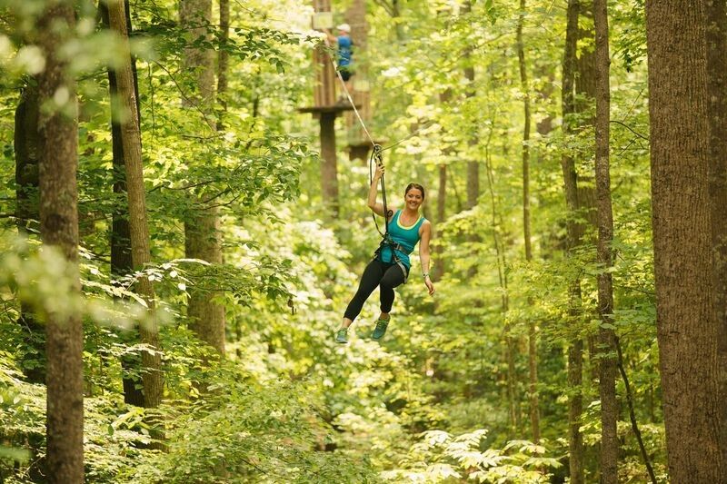 Go ape. Go ape