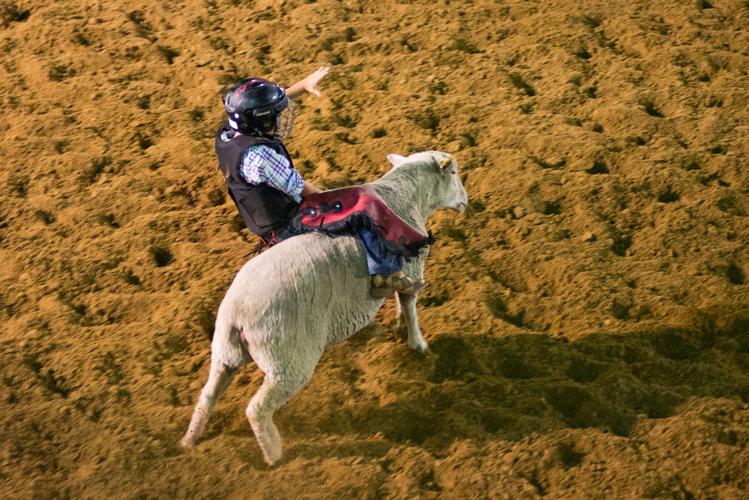 50th annual Labor Day Rodeo Lewisville Leader 50th annual Labor Day Rodeo Lewisville Leader