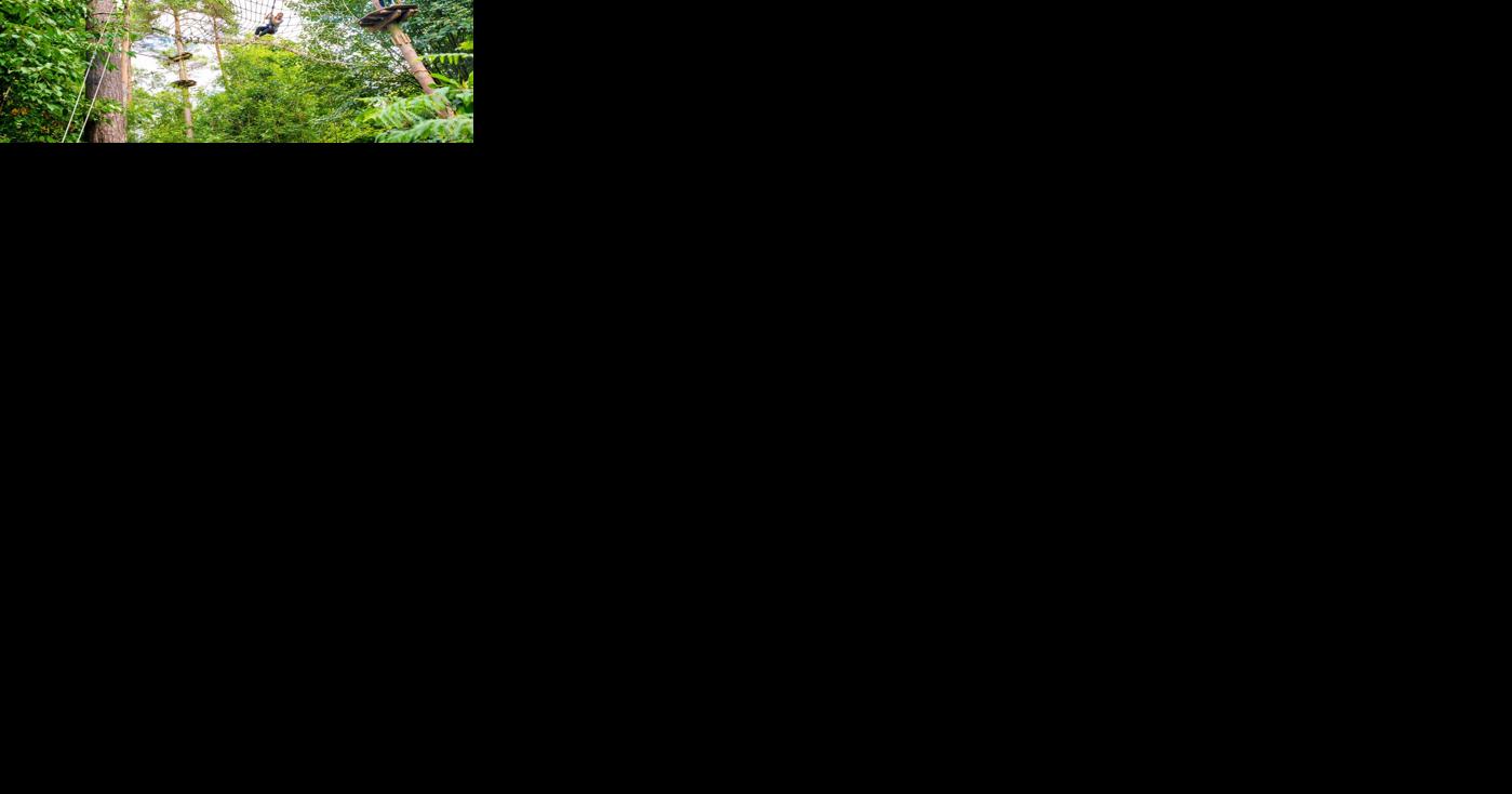 SUMMER FUN GUIDE: Are you ready to Go Ape? Here's how this Plano adventure business is helping park visitors push their boundaries - Vimarsana News