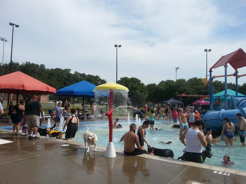 Another Successful Turnout For Annual Doggie Splash Day Mesquite News Starlocalmedia Com