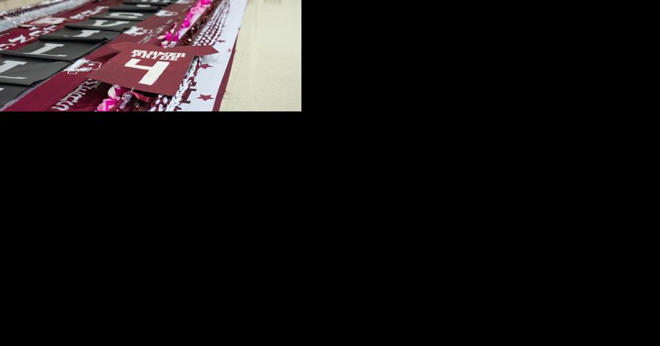 Lewisville students create Guinness World Record breaking mum - Vimarsana News