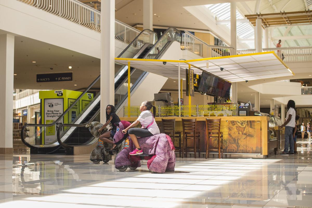 Shopping Safari At Collin Creek Mall Business Starlocalmedia Com