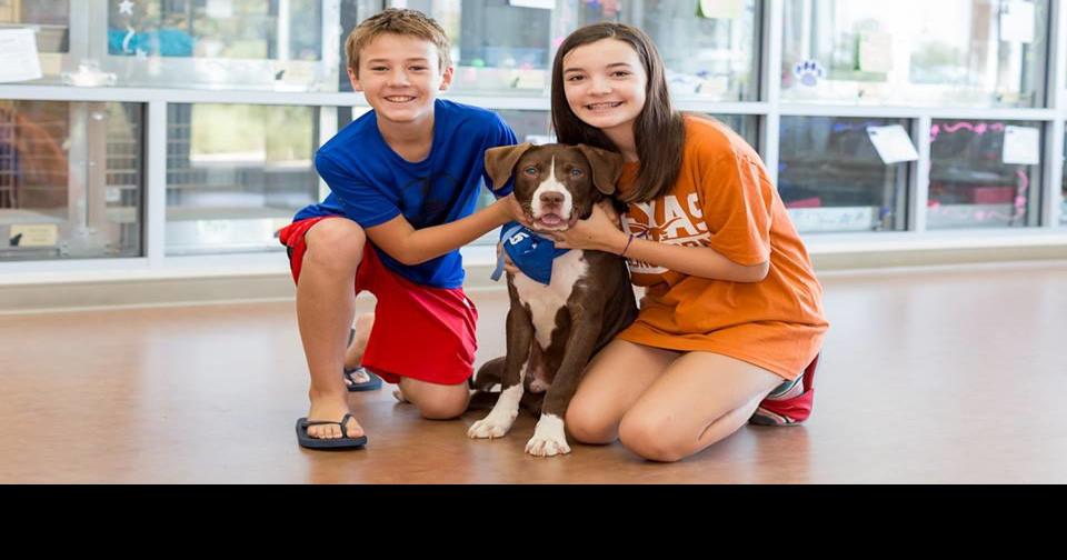 Carrollton Animal Services finds homes for 28 animals during Clear the