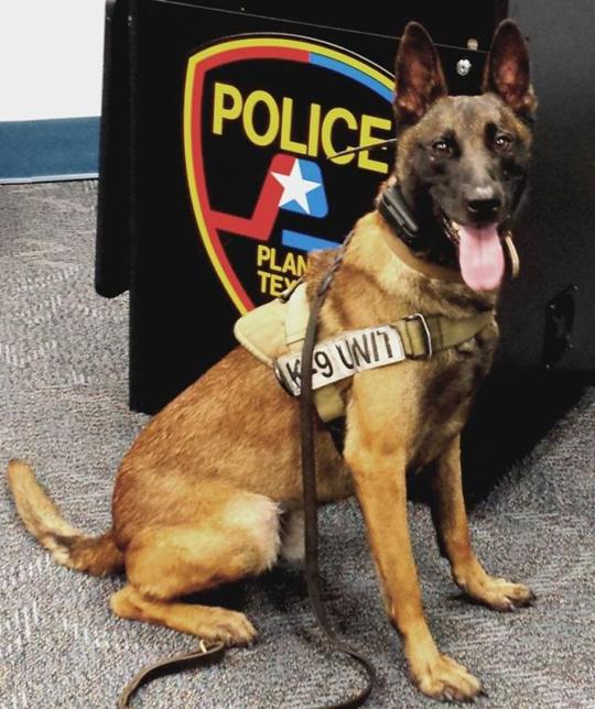 Plano PD Embraces Zen News Starlocalmedia