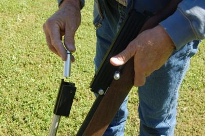 airgun pigeon hunt provides great sport