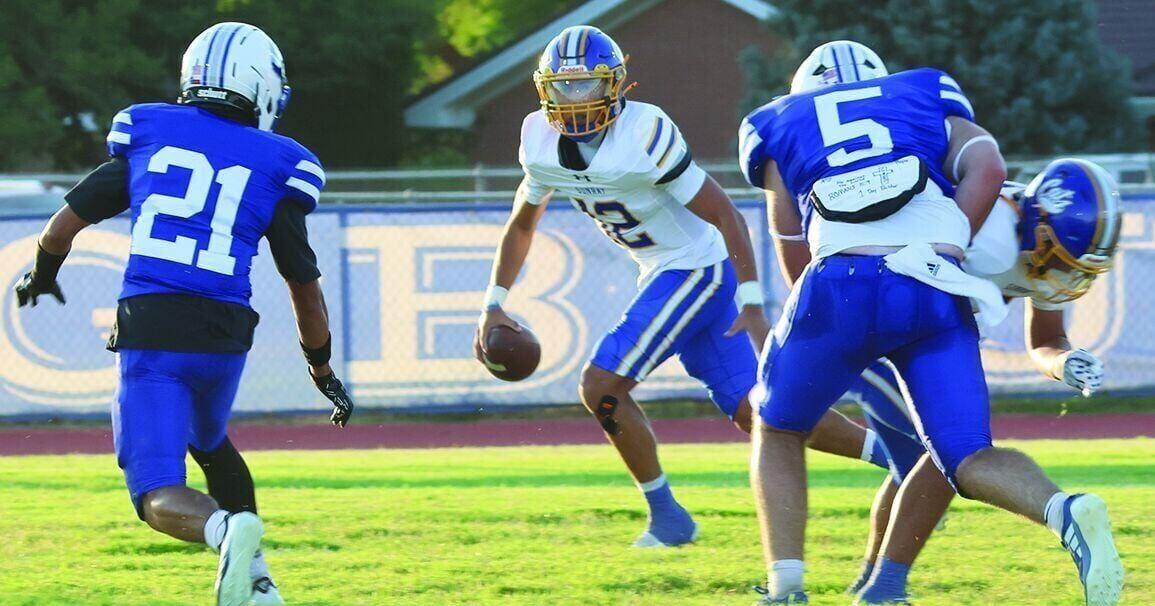 Cats fall to Elks in opener