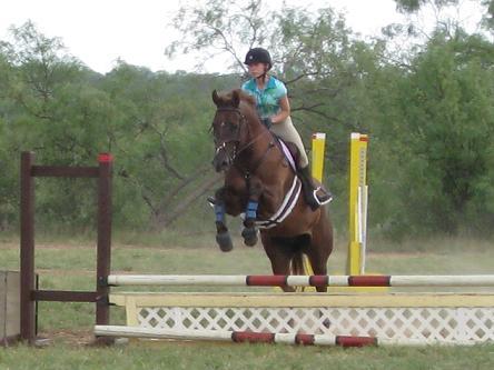 Polos for Pony Club Members