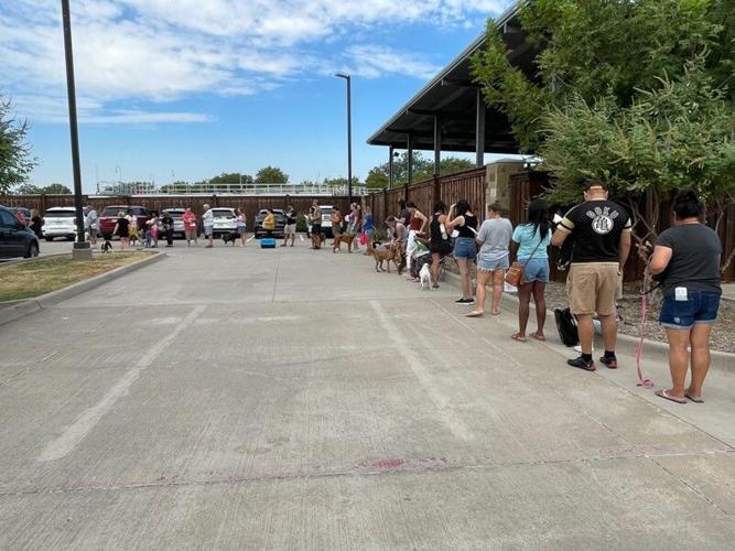 Learn how these Little Elm business, organizations came together to