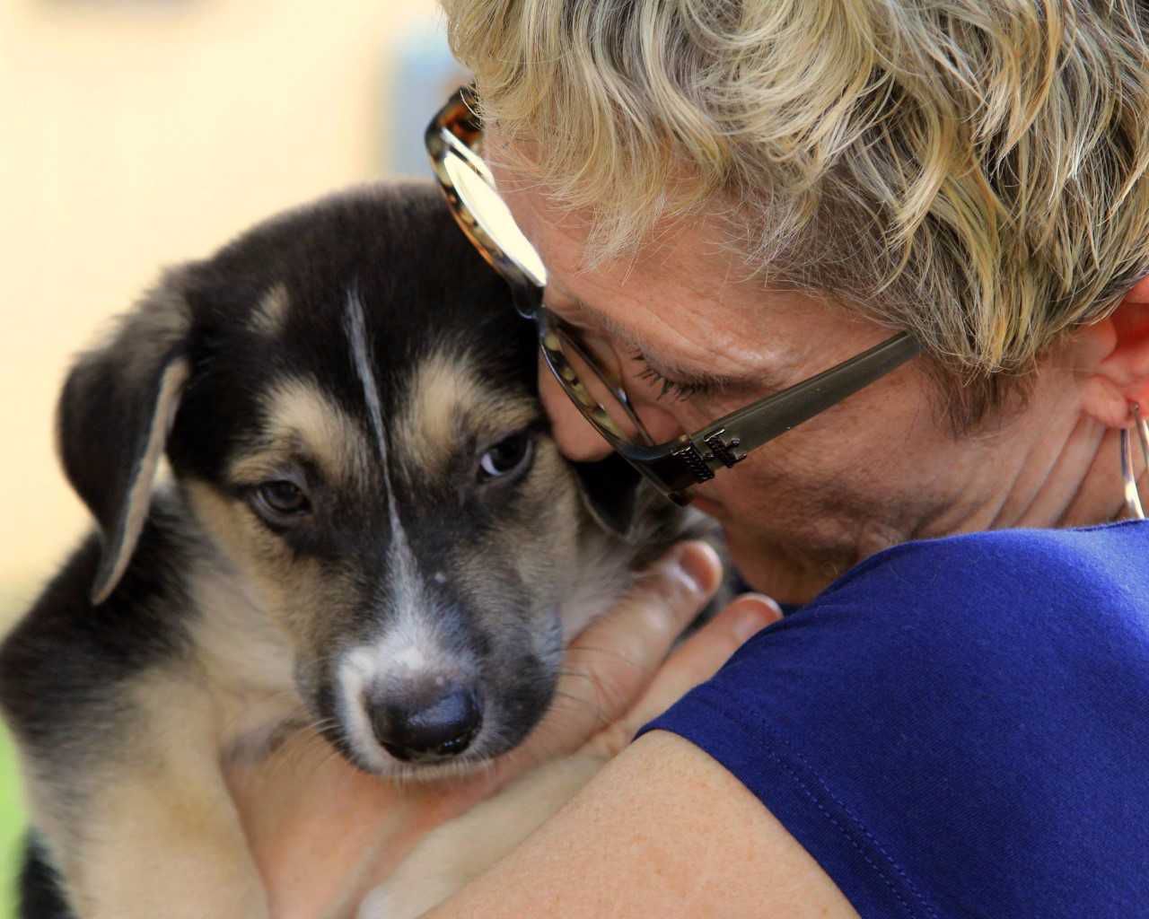 Passion for pets Humane Society volunteer talks love of animals