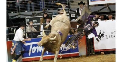 Raging Bull Vip Raging Bull Vip