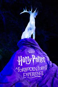 Harry Potter: A Forbidden Forest Experience to open in Little Elm, TX this  Fall