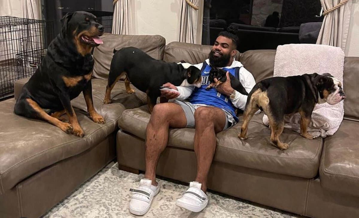 Report: Cowboys RB Ezekiel Elliott sued for alleged dog attack at