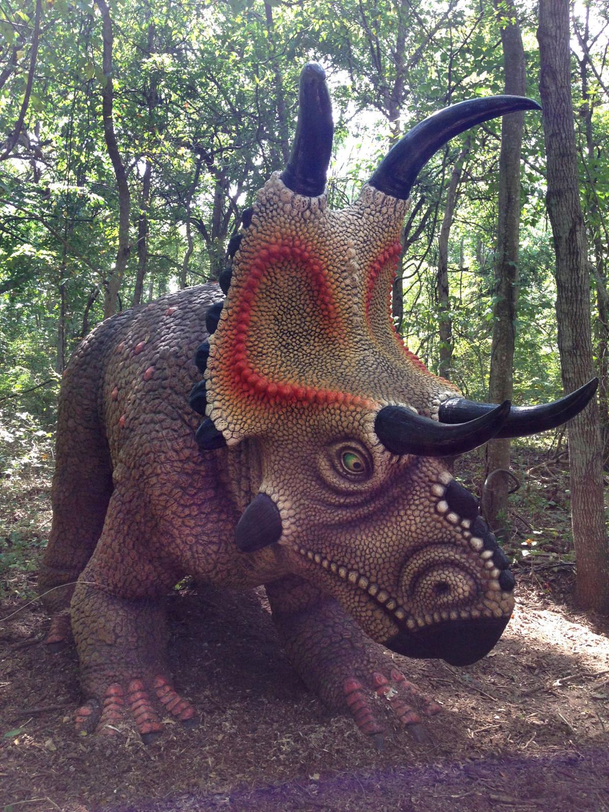 heard museum dinosaurs