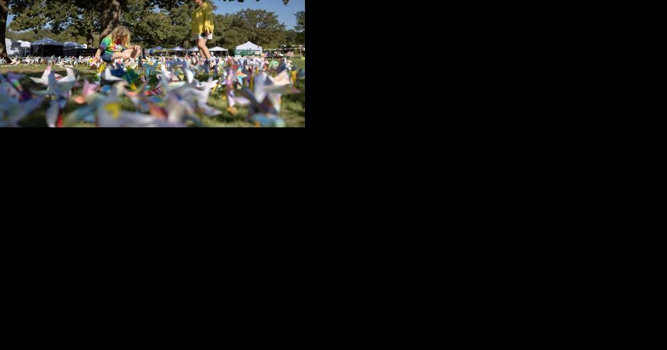 2024 Arts Festival at Heritage Park Overview | News - Vimarsana News