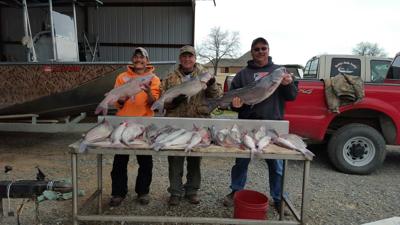 Lake Texoma for two kinds of cats: Jug lines, donuts, punch baits