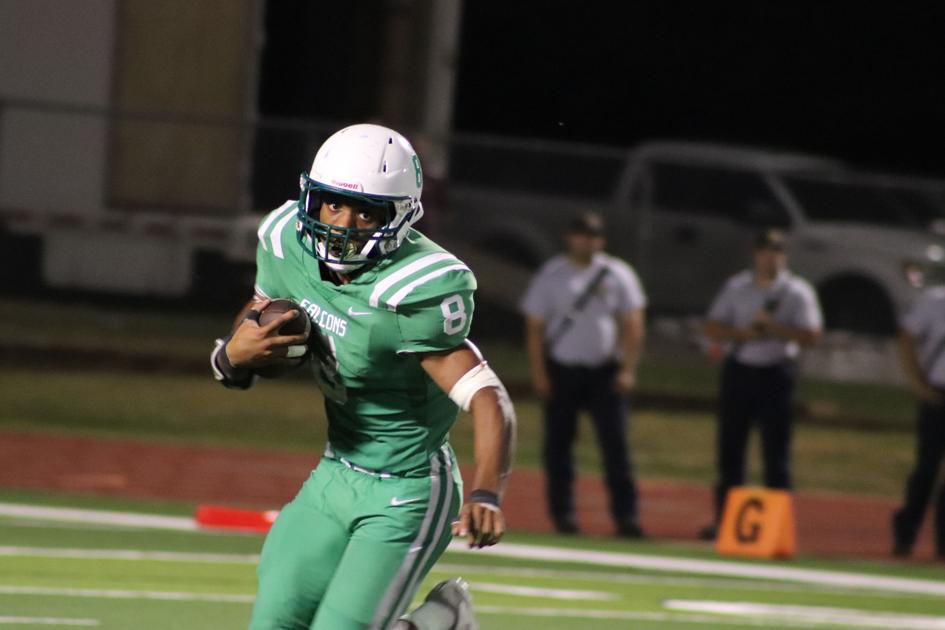 Run Over Falcons Waylaid By Denison In Engel S Return Under