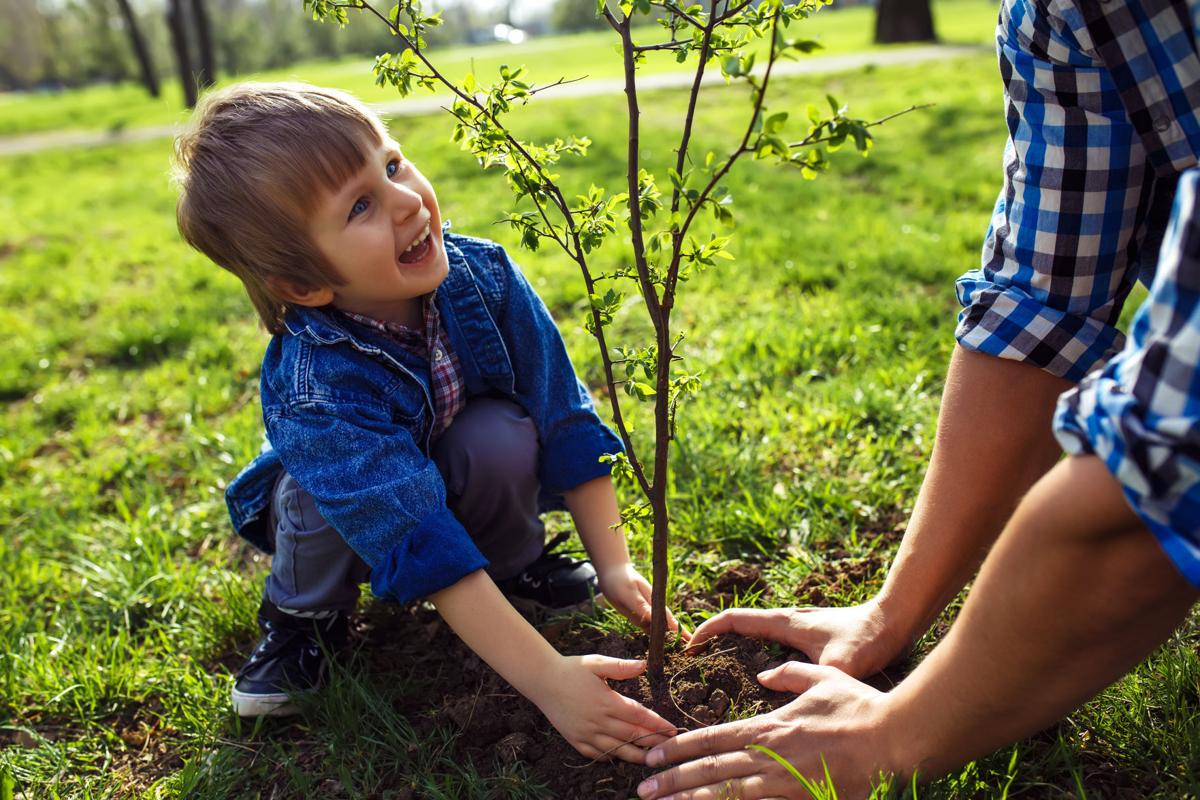 Landscaping classes to take place at Flower Mound Senior