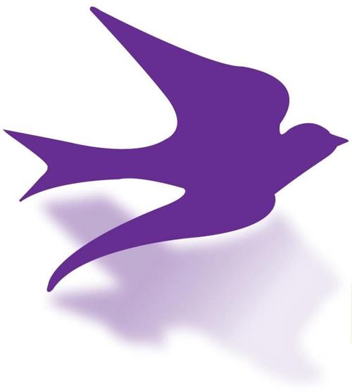 City Of Lewisville Events Calendar 