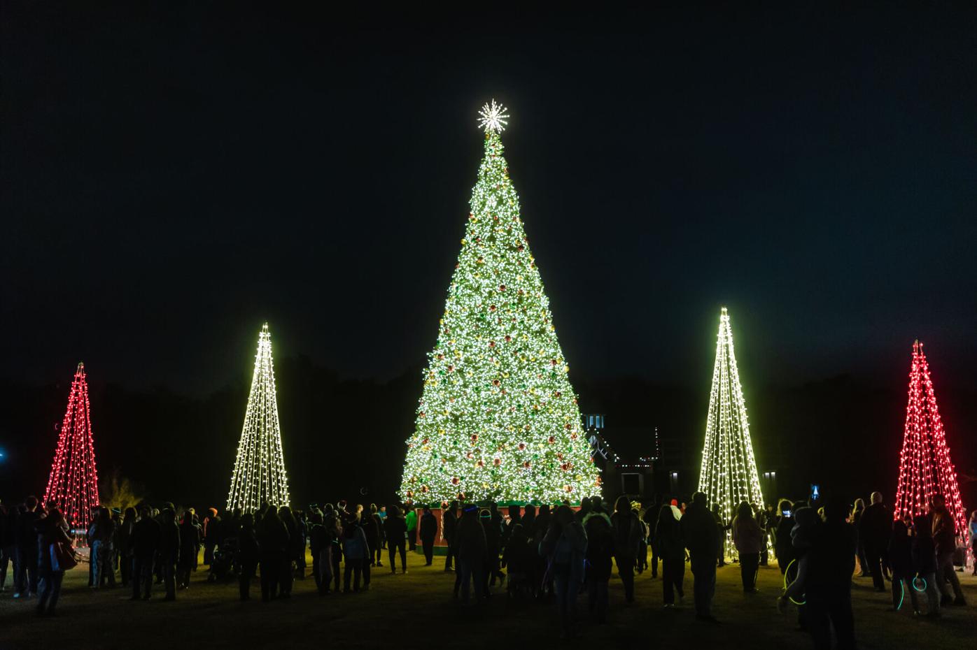 Christmas in Coppell: A look at photos from the 2022 Holiday Parade and  Tree Lighting | Coppell Gazette | starlocalmedia.com