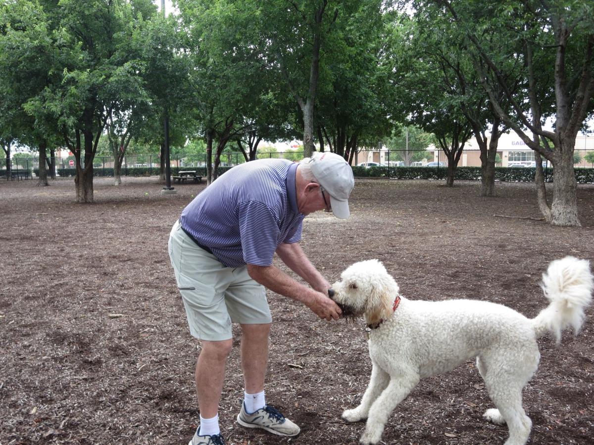 Frisco Commons Dog Park Frisco Commons Dog Park