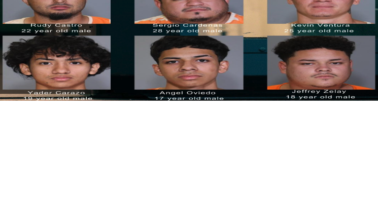 Nine suspects arrested in connection with burglary spree in Plano ...